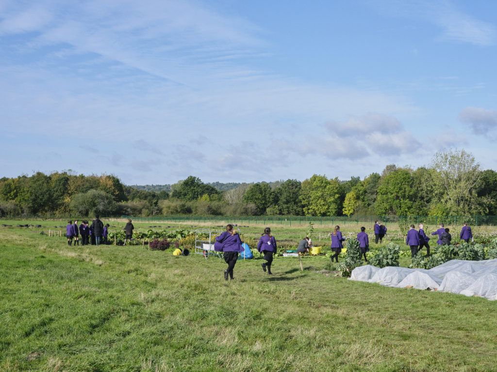 kids-at-the-grow-farm